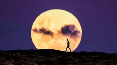 Почему Солнце и Луна выглядят больше возле горизонта? | КОСМОС | Дзен