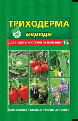 Триходерма вериде, биопрепарат для защиты растений от болезней — описание,  инструкция по применению, отзывы