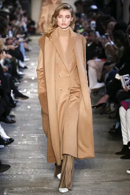 Max Mara Atelier Fall 2018 Ready-to-Wear Fashion Show | Vogue