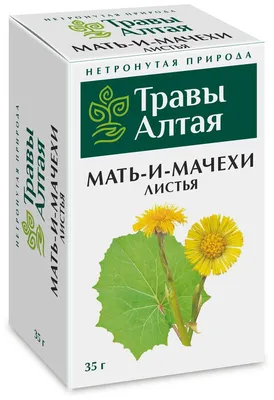 Мать-и-мачеха (около 300 семян).