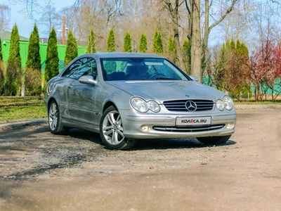 Не бит, не крашен, ездила бабушка: опыт владения Mercedes-Benz CLK C209 -  КОЛЕСА.ру – автомобильный журнал