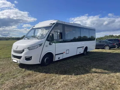 №-01 IVECO DAILY 2020 год 30 мест — Аренда микроавтобуса и автобуса в  Минске с водителем, заказать автобус на прокат