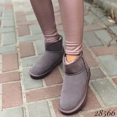 Женские зимние сапоги UGG Mini Zip (чёрные) короткие стильные модные угги с  замком сзади S954 modn, цена 3423.42 грн — Prom.ua (ID#1741418607)