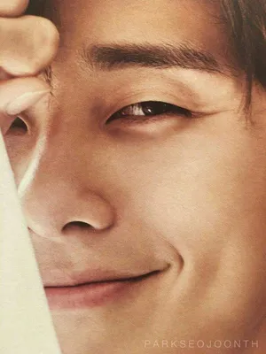 Пак Со Джун | Park Seo Joon | 박서준 | Wiki | Fork\u0026Spoon Kpop Amino