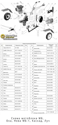 Схема мотоблока Каскад, Луч, МБ, Ока, Нева МБ-1