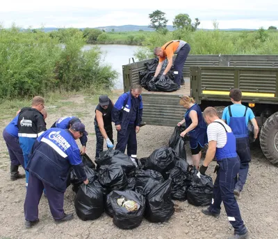 В Волгоградской области продолжается борьба с клещами и мошкой |  Волгоградская Правда