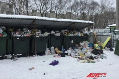 Во дворах – ужас!» Петербуржцы жалуются на переполненные мусорные площадки  | ОБЩЕСТВО | АиФ Санкт-Петербург