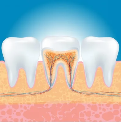 Воспаление корня зуба: ✔️лечение ✔️этапы ✔️профилактика | Denten.by