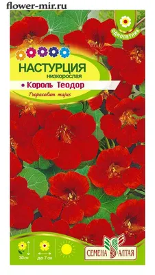Семена цветов Настурция Король теодор 1,5г в Липецке – купить в магазине  Маяк