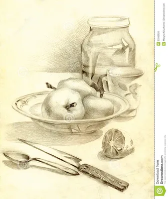 Натюрморт кухни в карандаше Яблоки в шаре Иллюстрация штока - иллюстрации  насчитывающей свеже, художничества: 52555920