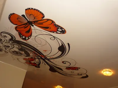 Бабочка на натяжном потолке: возможности современной фотопечати | AstamGROUP