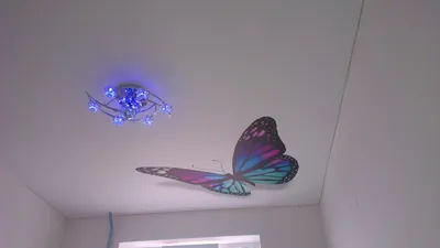 Натяжной потолок с бабочками - 49 фото