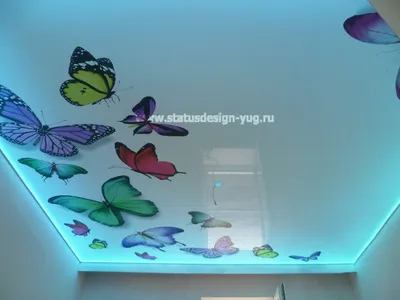 Натяжные потолки с фотопечатью бабочки (48 фото)