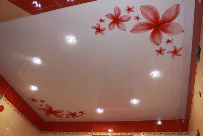Купить натяжной потолок с фотопечатью, установка в Киеве — «Installer»