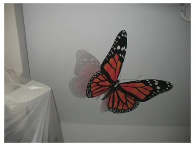 Натяжные потолки фото печать бабочки