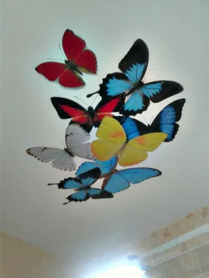 Сатиновый потолок в офисе с фотопечатью \"бабочки\" - Натяжные потолки в  Витебске - Престиж