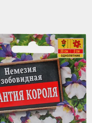 Семена Немезия \"Мантия короля\" за 61 ₽ купить в интернет-магазине  KazanExpress