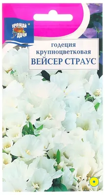 Семена цветов: годеция вейсер страус — купить по низкой цене на Яндекс  Маркете