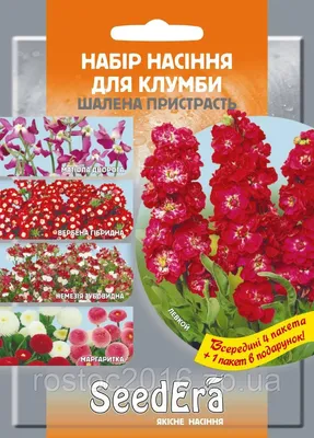 Семена немезии в категории \"Дом и сад\" оптом | Сравнить цены и купить на  Prom.ua