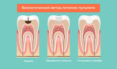 Михаил Меркулов, автор на МегаДент