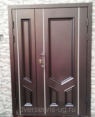 Широкие нестандартные входные двери - купить в Ростове-На-Дону