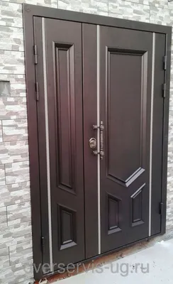 Широкие нестандартные входные двери - купить в Ростове-На-Дону