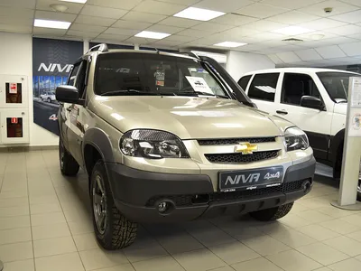 Купить новый Chevrolet Niva I Рестайлинг 1.7 MT (80 л.с.) 4WD бензин  механика в Москве: серебристый Шевроле Нива I Рестайлинг внедорожник  5-дверный 2020 года на Авто.ру ID 1098254744