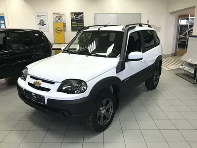 Купить новый Chevrolet Niva I Рестайлинг 1.7 MT (80 л.с.) 4WD бензин  механика в Ярославле: белый Шевроле Нива I Рестайлинг внедорожник 5-дверный  2019 года на Авто.ру ID 1086370804