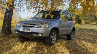 Купить Шевроле Нива в г.Пушкино: цены 2022 на новый Chevrolet Niva у  официального дилера | Автосалон МАС Моторс