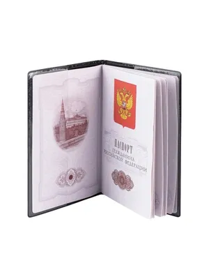Обложка на паспорт с принтом, обложка для загранпаспорта Yudzuru 18594283  купить за 235 ₽ в интернет-магазине Wildberries