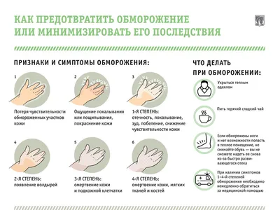 Обморожения: профилактика и первая помощь. | Могилевское областное  управление департамента охраны МВД Республики Беларусь
