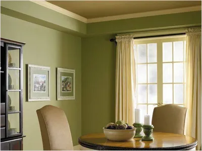 Фисташковый цвет стен в офисе - 66 фото