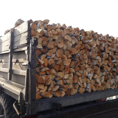 Лабораторная работа на тему: \"Сколько кг дров в кубе дров?\" — Isuzu D-Max,  2,5 л, 2017 года | наблюдение | DRIVE2