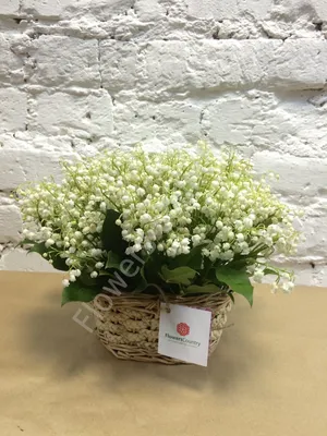Купить Букет из весенних лесных искусственных цветов - белых ландышей + в  подарок сердце по выгодной цене в интернет-магазине OZON.ru