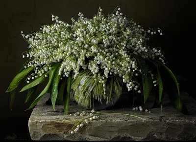 Цветы колоколов маджалисов Convallaria ландыша небольших белых в вазе на  фоне бирюзового цвета. Стоковое Фото - изображение насчитывающей бобра,  колоколов: 185724388
