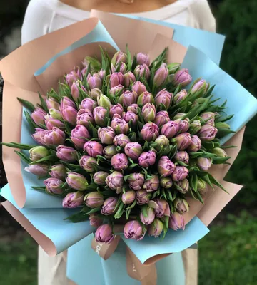 Букеты из тюльпанов: фото и картинки красивых цветов тюльпанов в букетах