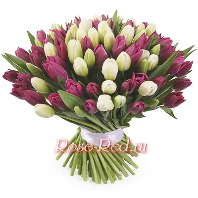 VIP букет весенних цветов на 8 марта Большой букет белых и фиолетовых  тюльпанов заказать, купить с доставкой в Минеральных Водах | Магазин цветов  с доставкой по Минеральным Водам и служба доставки цветов