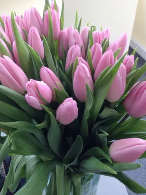 Фото Большой букет из розовых тюльпанов