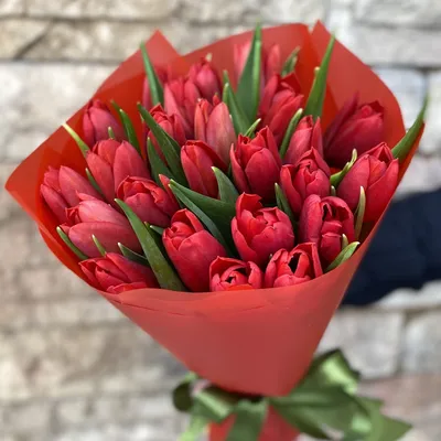 Букет из 19 красных тюльпанов с доставкой по Саратову и Энгельсу |  Интернет-магазин ЭльФлора