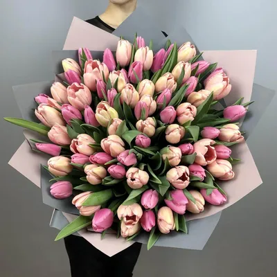 Купить букет из 101 нежного тюльпана по доступной цене с доставкой в Москве  и области в интернет-магазине Город Букетов