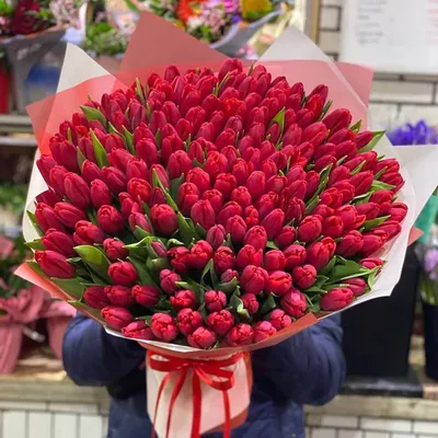 201 красный тюльпан в букете | Бесплатная доставка цветов по Москве