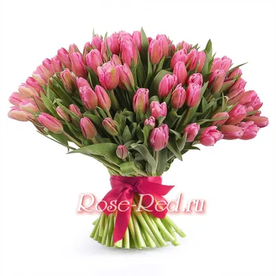 Букет весенних цветов тюльпанов на 8 марта Большой букет розовых тюльпанов  заказать, купить с доставкой в Минеральных Водах | Магазин цветов с  доставкой по Минеральным Водам и служба доставки цветов в Минеральных
