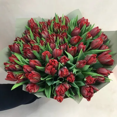 Купить большой букет тюльпанов с доставкой в Москве недорого - Roses  Delivery