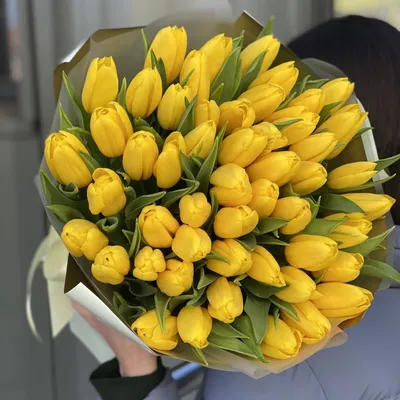 Букет Магия Весны из 51 желтых тюльпанов - Доставкой цветов в Москве! 27663  товаров! Цены от 487 руб. Цветы Тут