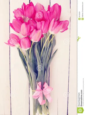 Большой букет тюльпанов стоковое изображение. изображение насчитывающей  цветки - 39129329
