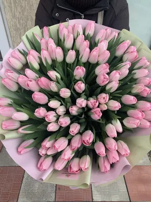 101 нежно-розовый тюльпан: купить 101 нежно-розовый тюльпан с доставкой по  Киеву и области | Golden Flora