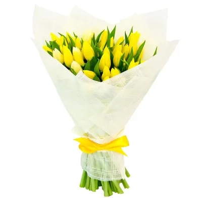Tulipa. Жёлтый большой букет тюльпанов по цене 6850 ₽ - купить в RoseMarkt  с доставкой по Санкт-Петербургу
