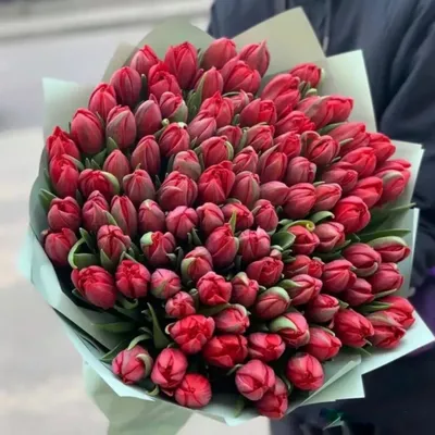 Купить букет из 101 красного пионовидного тюльпана по доступной цене с  доставкой в Москве и области в интернет-магазине Город Букетов