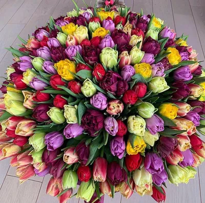 Букет из Тюльпанов 151 шт пионовидных-Доставка цветов в Москве.  Круглосуточная продажа живых цветов.