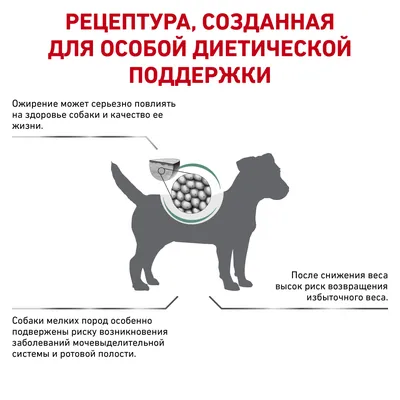 Корм для собак Purina Pro Plan Veterinary diets OM при ожирении 3кг купить  по цене 3281 ₽ с доставкой в Москве и России, отзывы, фото